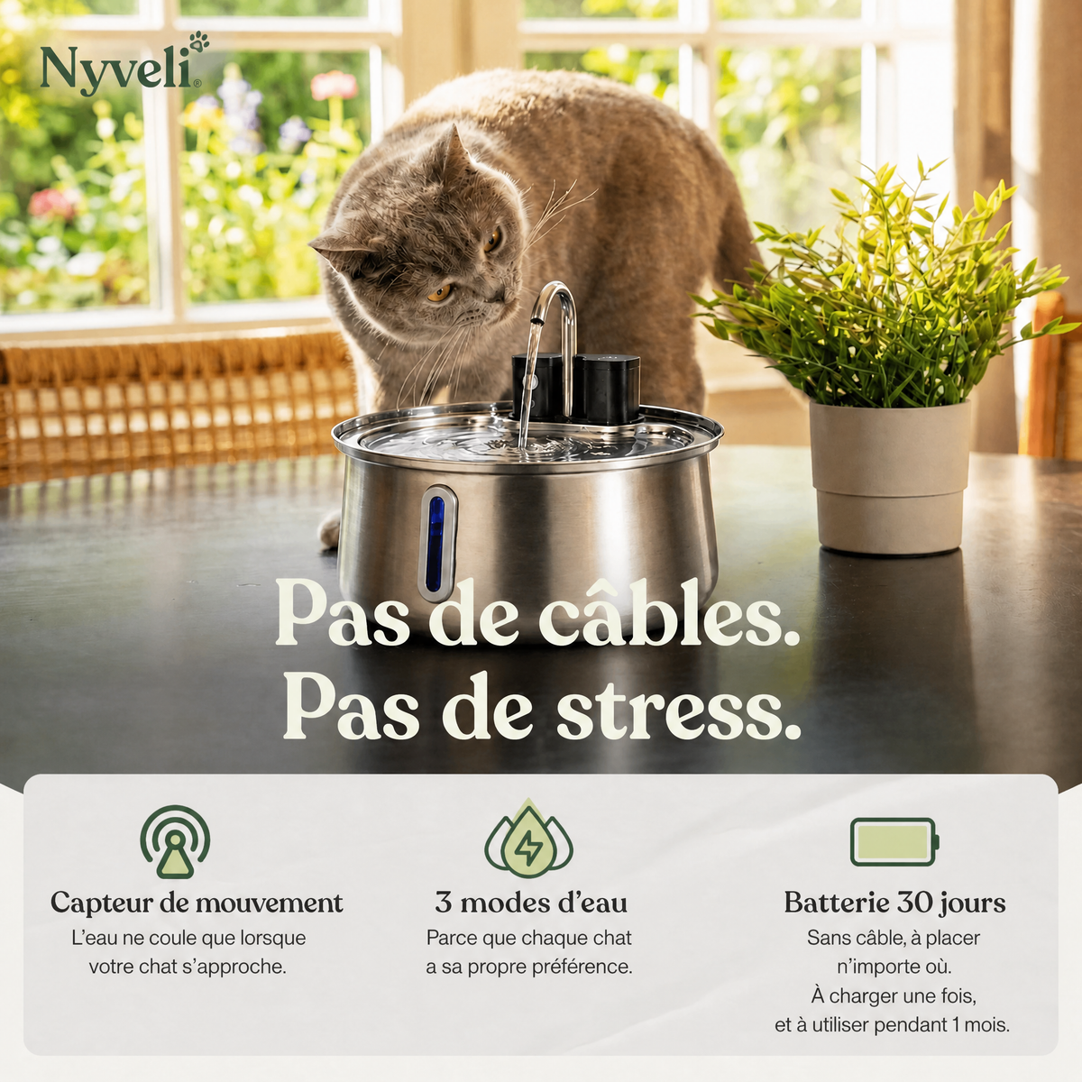 Fontaine à eau pour animaux