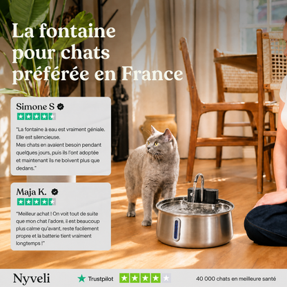 Fontaine à eau pour animaux
